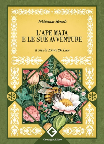 Ape maia sue avventure - le,